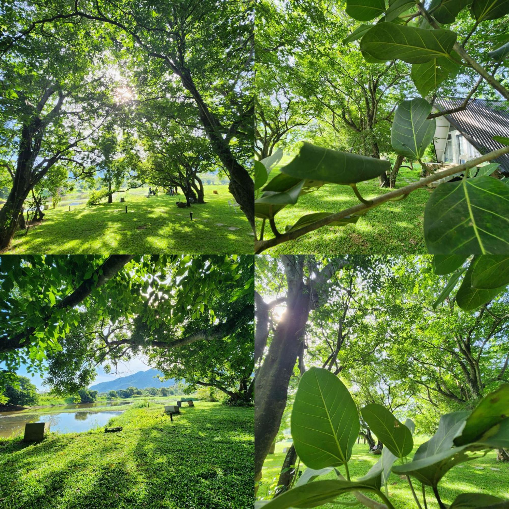 Samabe Lake Dambulla Luaran gambar